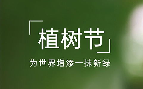 950c4f499d6528b44e1026f90cf02aaa